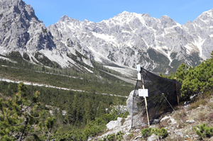 Malaise-Falle Nationalpark Berchtesgaden Malaise-Falle Nationalpark Berchtesgaden