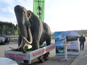 mammut-siegsdorf mammut-siegsdorf