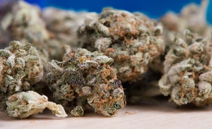 marihuana-symbolbild marihuana-symbolbild