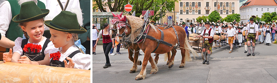 Maibaumaufstellen Bad Reichenhall 2024 