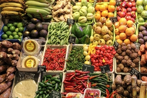Obst und Gemüse Obst und Gemüse