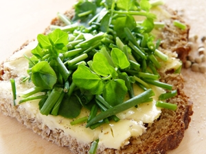 Brot Brot
