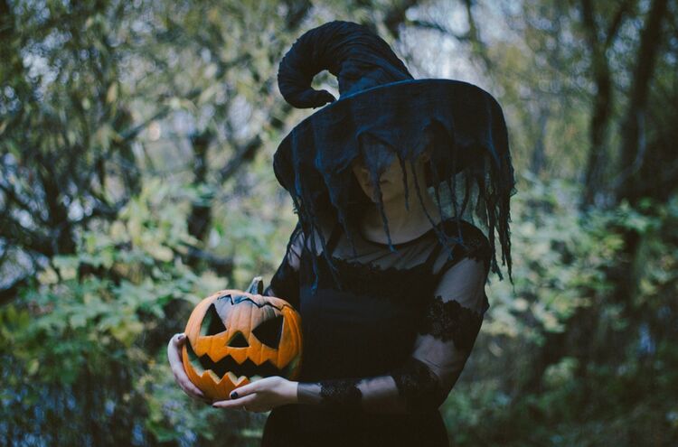 Pumpkin G5d1dc0abd 1920