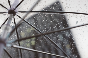 Regenschirm Regenschirm