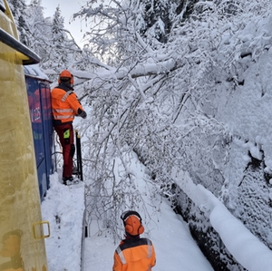 Winterschäden Regiobahn