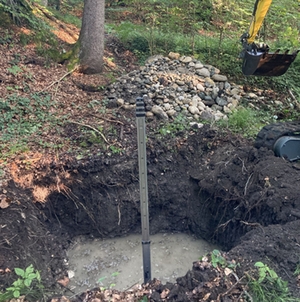 Seitenarm Alz Revitalisierung Seitenarm Alz Revitalisierung