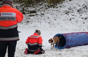 Rettungshundestaffel Rettungshundestaffel