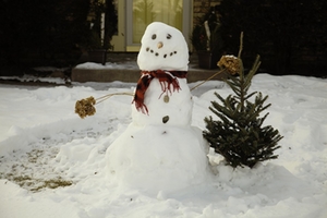 schneemann-1.jpg schneemann-1.jpg