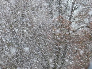 schneesturm