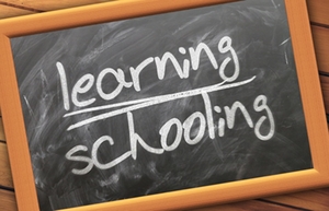 Schule Schule