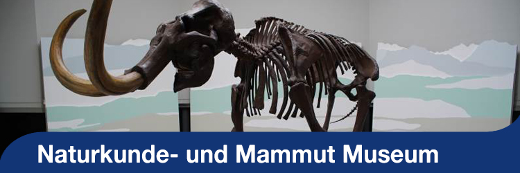 Sommerserie - Naturkunde- und Mammut-Museum Siegsdorf