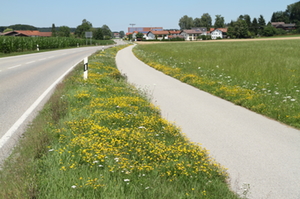 Bühender Landkreis Bühender Landkreis