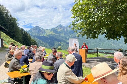Streichen3