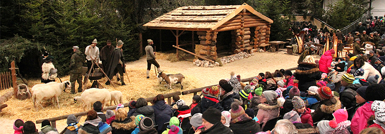 Stallweihnacht Bad Reichenhall 2017