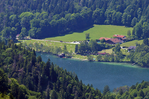 Thumsee Thumsee