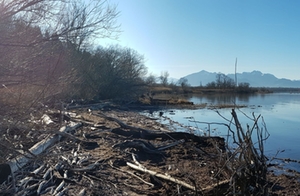Tiroler Ache Chiemsee Tiroler Ache Chiemsee