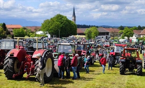 Bulldogtreffen Kammer Bulldogtreffen Kammer