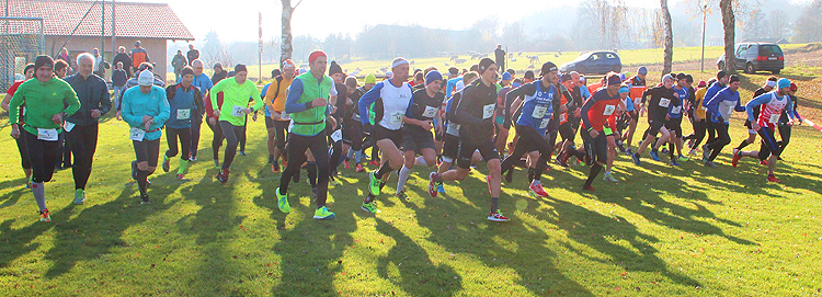 Tachinger See-Lauf 2018