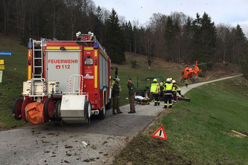 Unfall Bulldog Bgd 4