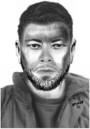 vergewaltigung-salzburg-phantombild vergewaltigung-salzburg-phantombild
