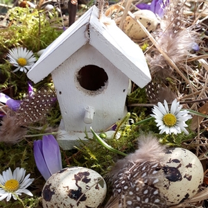 Vogelhäuschen Vogelhäuschen