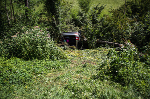 vu_baum_laufen vu_baum_laufen
