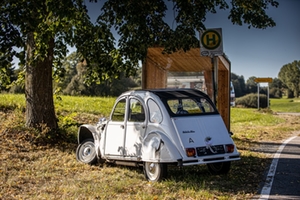 Unfall Hochzeitspaar Unfall Hochzeitspaar