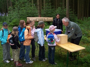 walderlebnisspiele-symbolbild