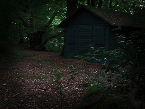 Waldhütte Waldhütte