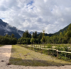 Wanderparkplatz Fuchsau Wanderparkplatz Fuchsau