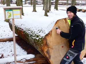 wertholz_waging wertholz_waging