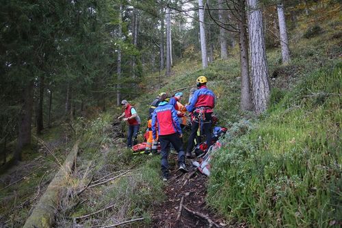 Wespenstich Einsatz 2