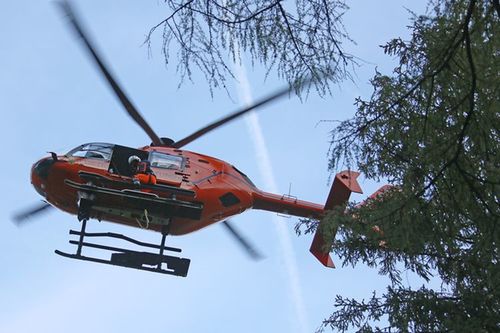 Wespenstich Einsatz 3