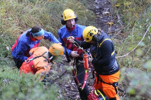 Wespenstich Einsatz 4