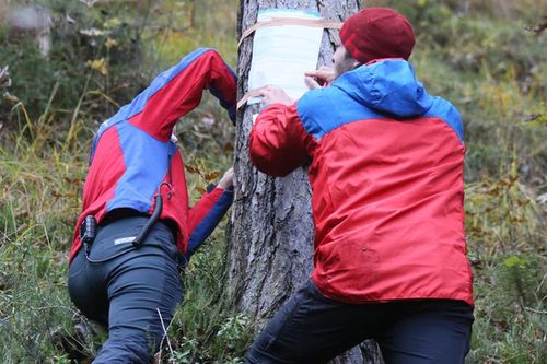 Wespenstich Einsatz 6