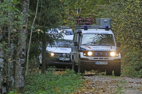 Wespenstich Einsatz 7