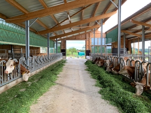 Bio-Landwirtschaftsbetrieb Surberg