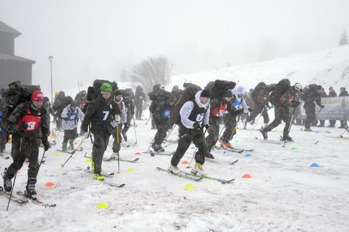 Winter Survival 2