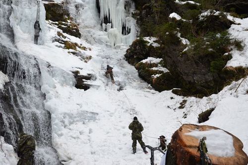 Winter Survival 3