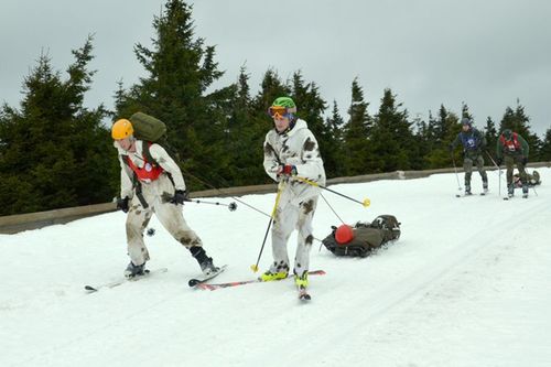 Winter Survival 6