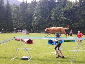 Schäferhundverein Berchtesgaden Agility-Turnier