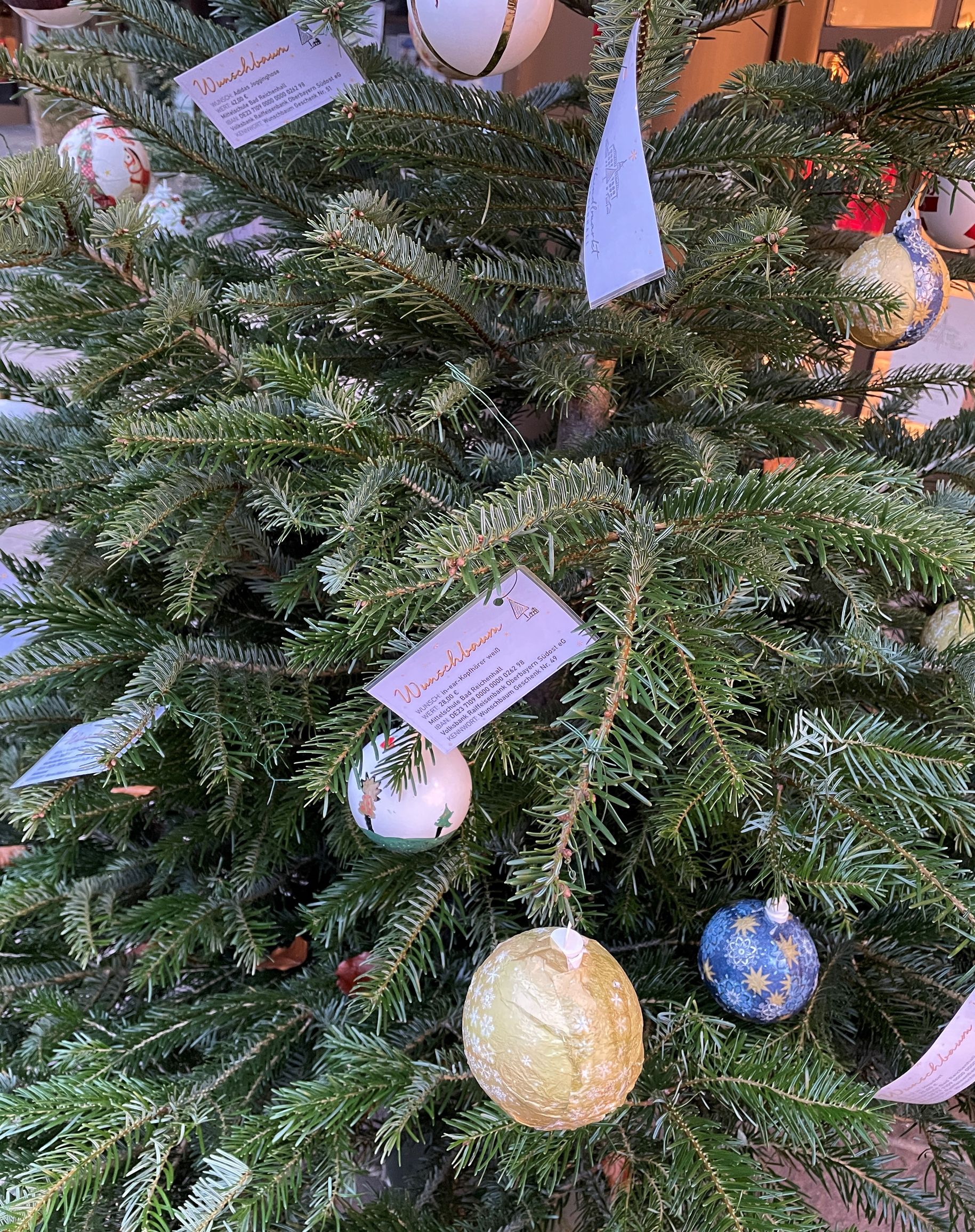 200 "Wunschbaum"Wünsche schon erfüllt