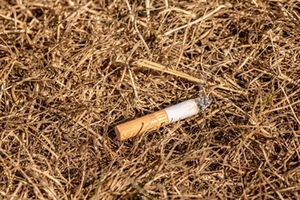 Zigarettenkippe Zigarettenkippe