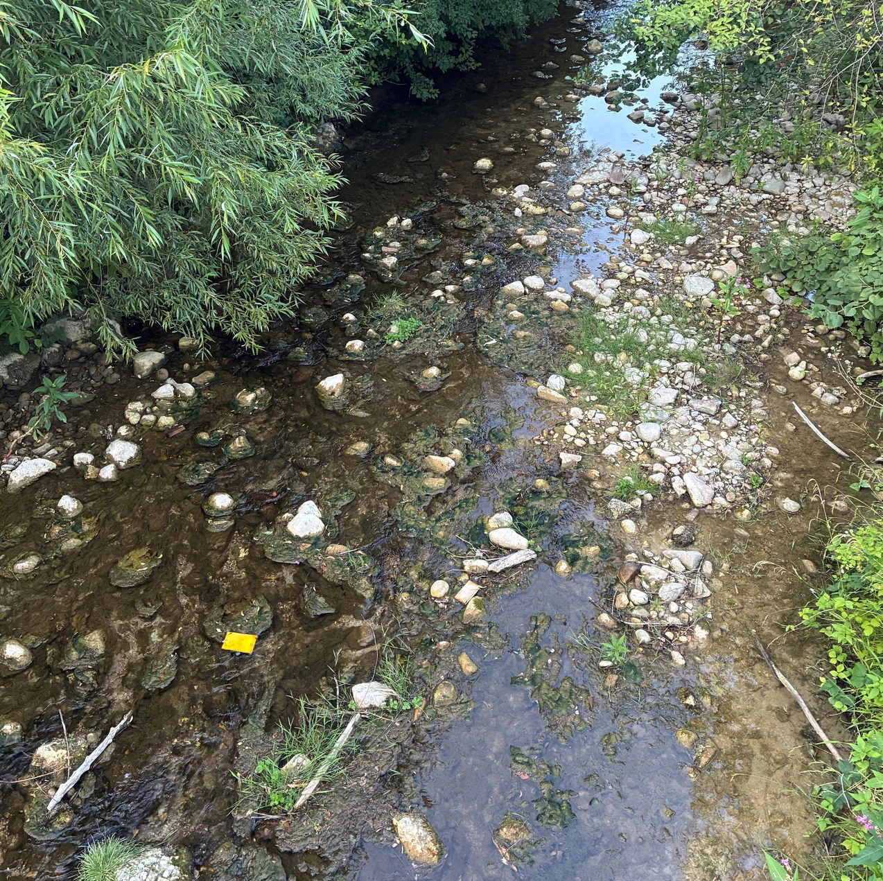 Appell vom Wasserwirtschaftsamt: Kein Wasser aus Bächen oder Gräben entnehmen!